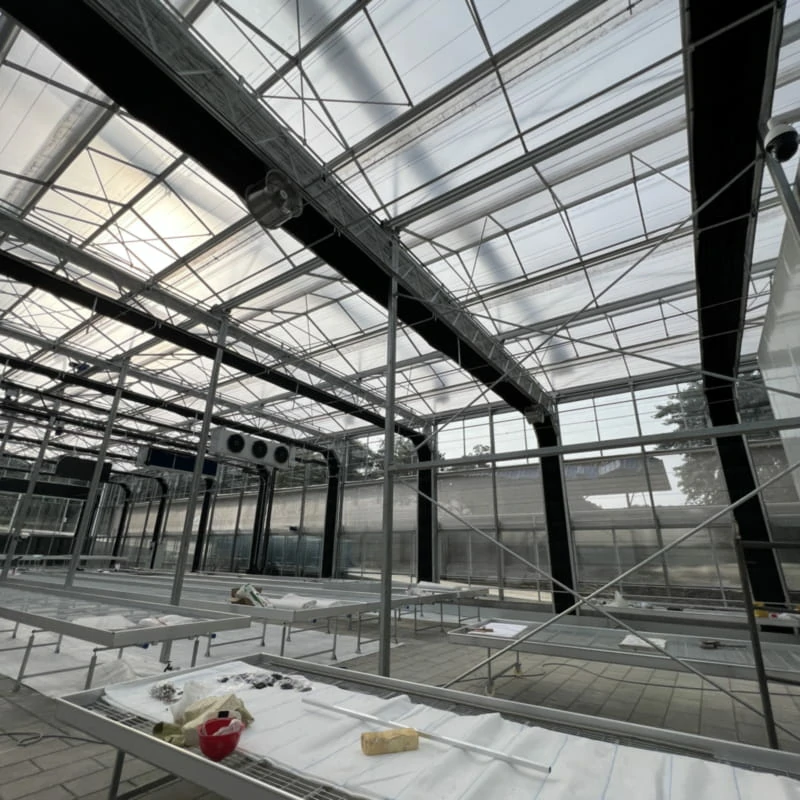 Blackout greenhouses