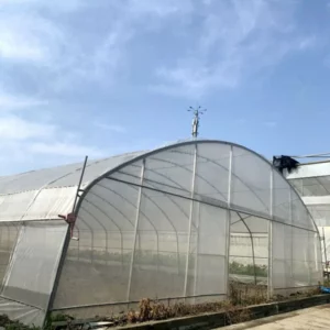 greenhouse film plastic