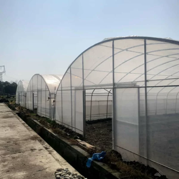 Single-span greenhouses