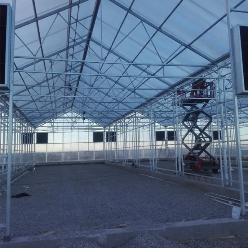 Green house Metal Frame agriculture greenhouse