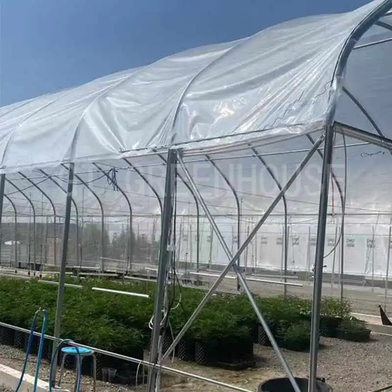 greenhouse cover