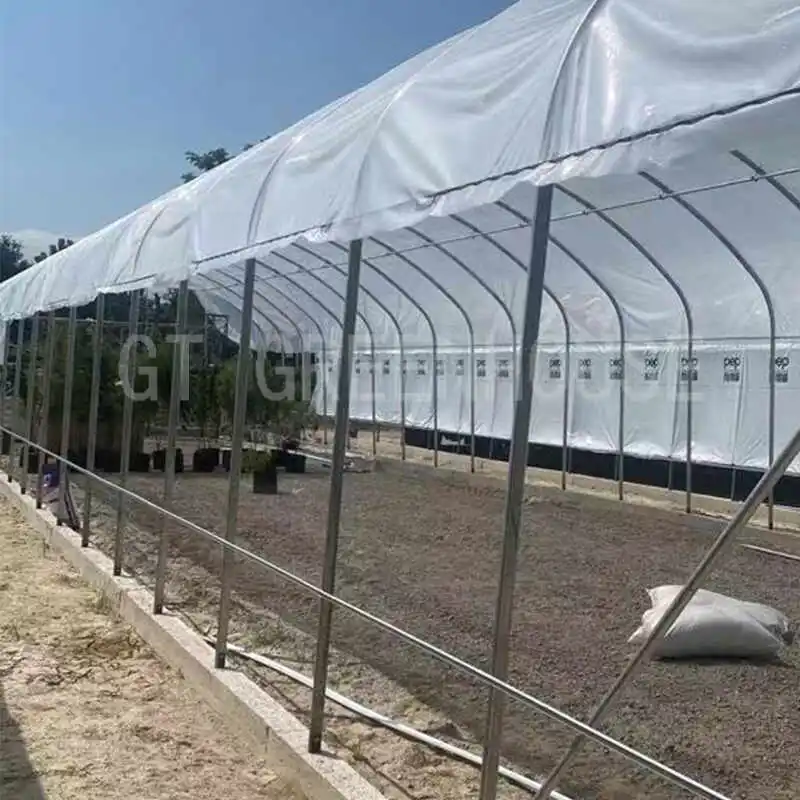 hydroponic greenhouse