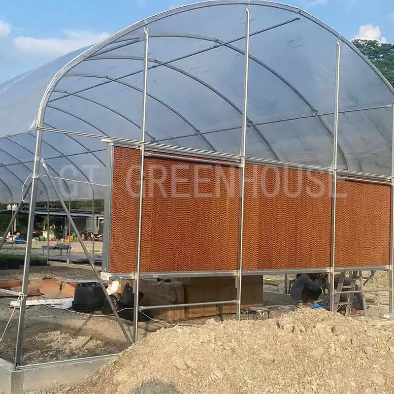 greenhouse garden
