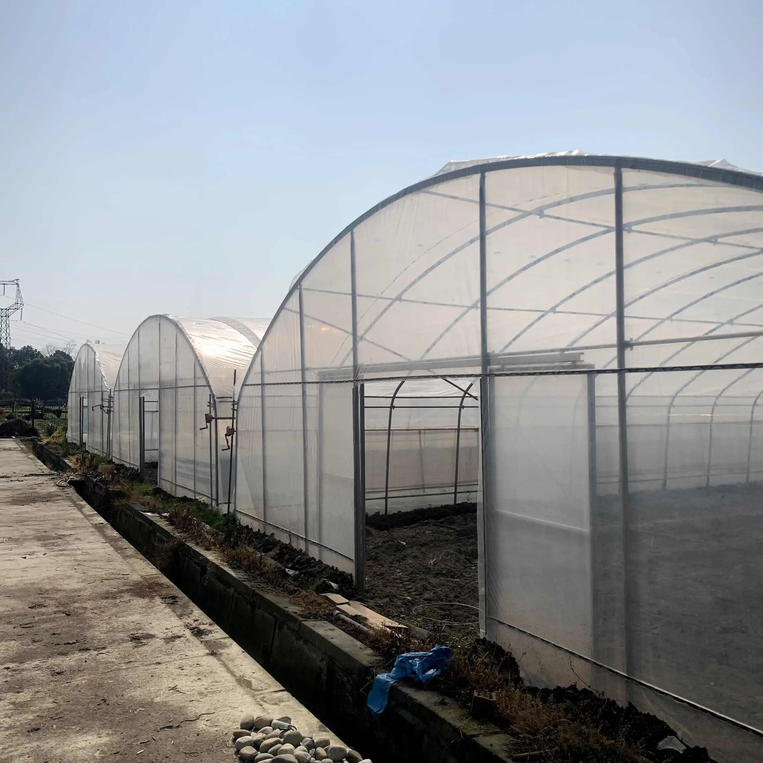 Shade net greenhouses