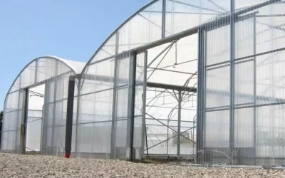 Green Revolution: Agricultural Greenhouse – A Treasure Trove Of Efficient Production In Modern Agriculture