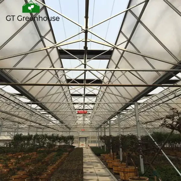 China green house metal frame agriculture greenhouse suppliers