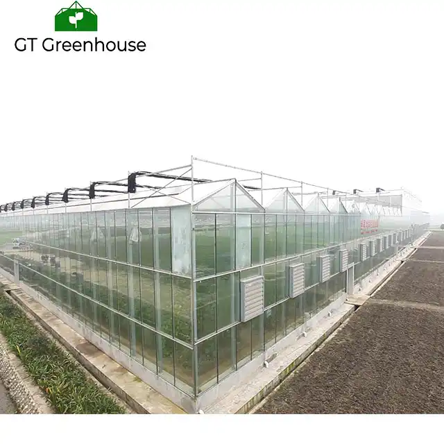 green house polythene sheet