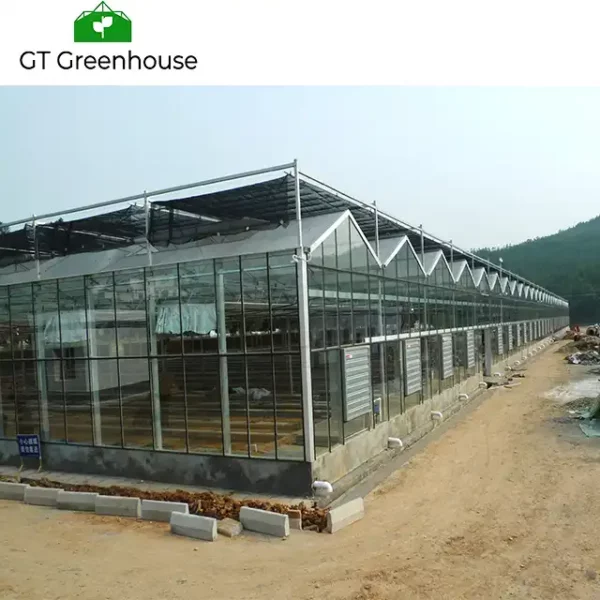 Glass-Greenhouse