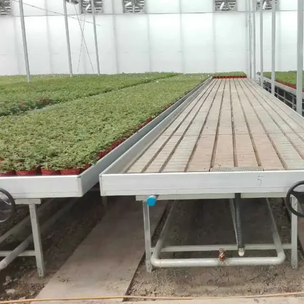 China greenhouse bench