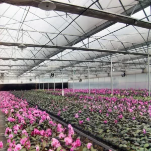 China greenhouse bench suppliers