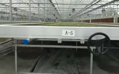 What factors to consider when choosing a greenhouse table factory