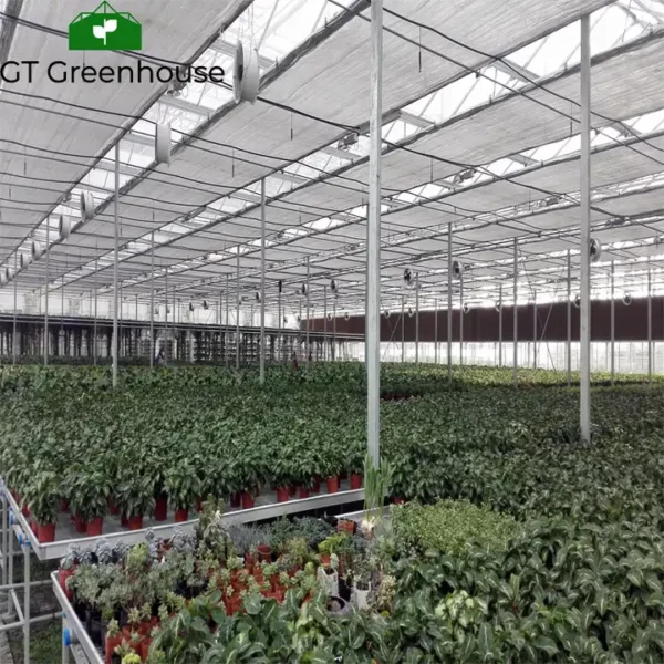 china greenhouse rolling bench supplier