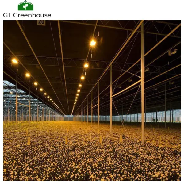  China greenhouse 