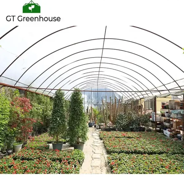 agricultural tomato greenhouses