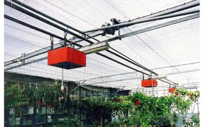 Maximizing Growth: Blackout Greenhouses and Essential Equipment for Optimal Cultivation