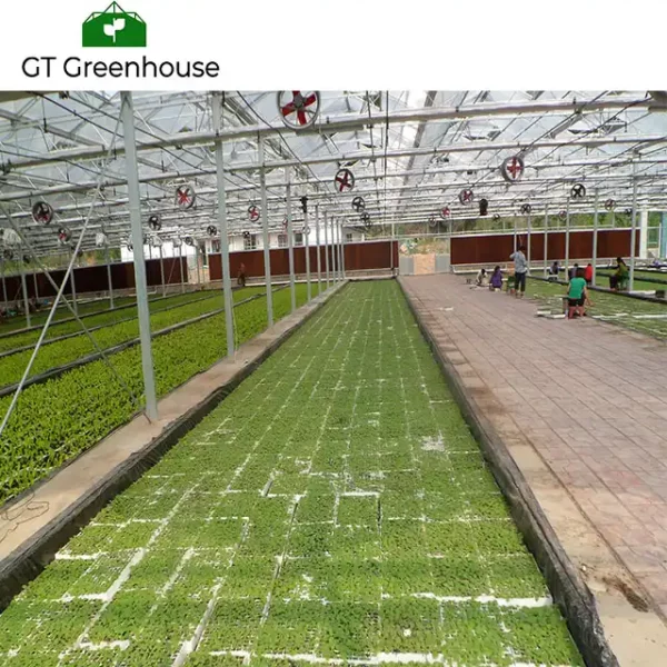 green house tent