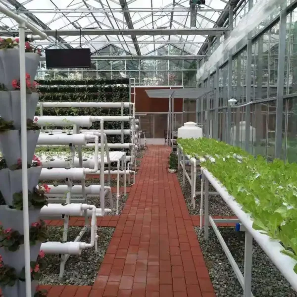 hydroponic greenhouse systems 