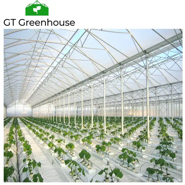 Smart greenhouses