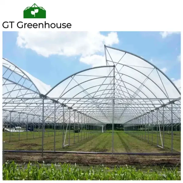 Sawtooth greenhouses