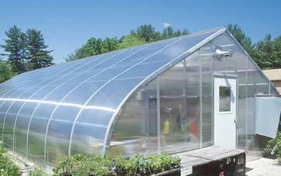 How many types of plastic greenhouses are there in China