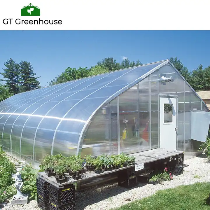 greenhouse tunnel for agriculture