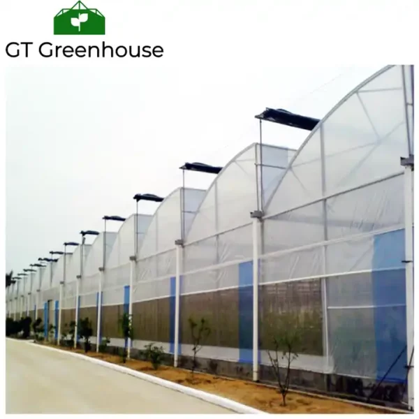 greenhouse plastic film uv resistant
