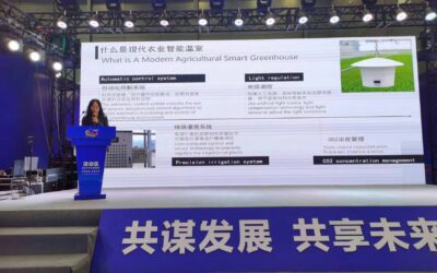Expanding Global Reach At The Third China-Africa Economic and Trade Expo By GT